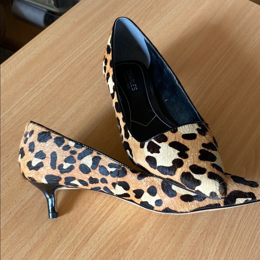 Charles David Leopard Print Pump